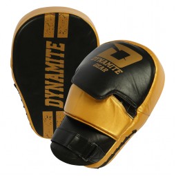 Focus Pad/ Hook and Jab Pads