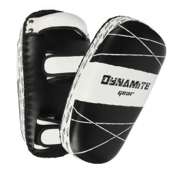 Big Focus Pads/ Kick Pads